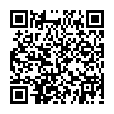 QR code for MAM293