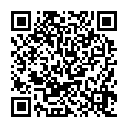 QR code for MAP336