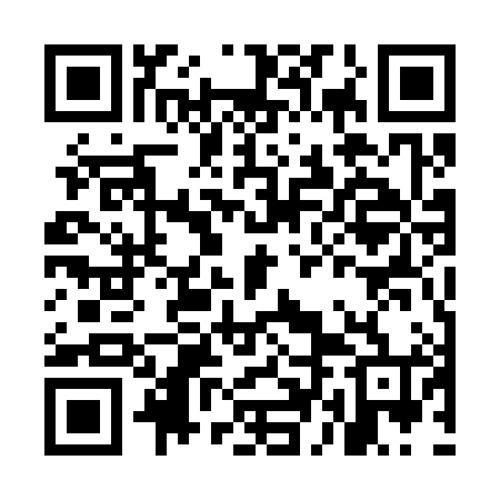 QR code for MDE384
