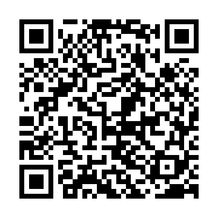 QR code for MDG869