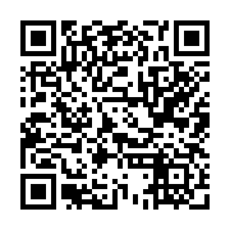 QR code for MDK383