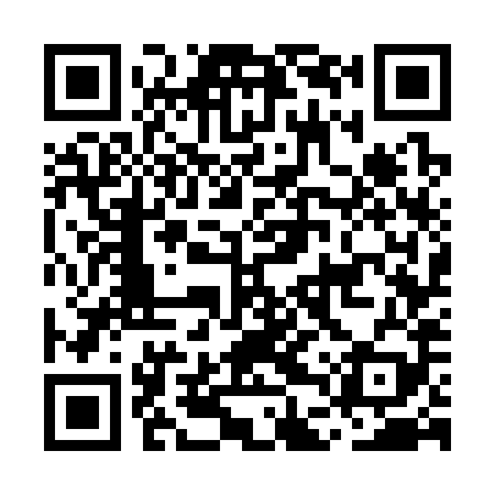 QR code for MDW389