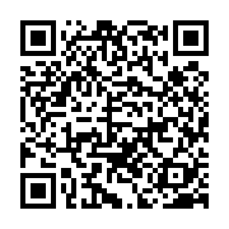 QR code for MEM529