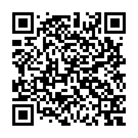 QR code for MFS133