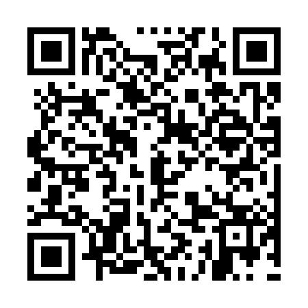 QR code for MIF383