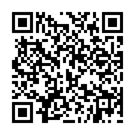 QR code for MII509