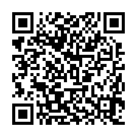 QR code for MIR295