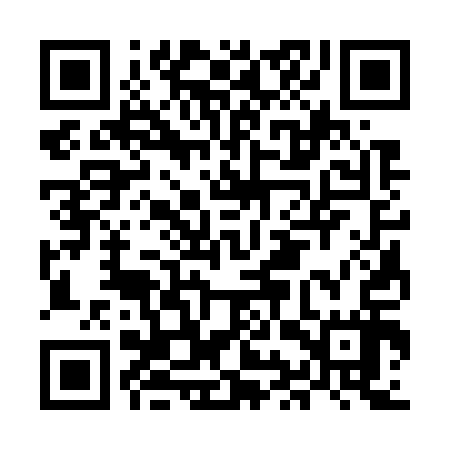 QR code for MIS717