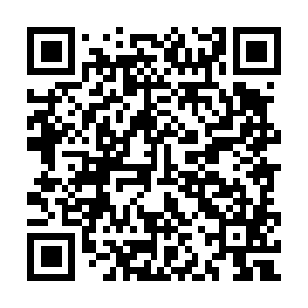 QR code for MJX485