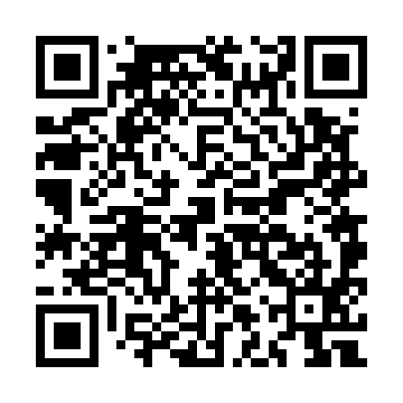 QR code for MLV595