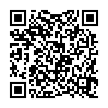 QR code for MPH384