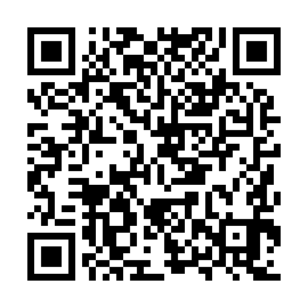 QR code for MPP991