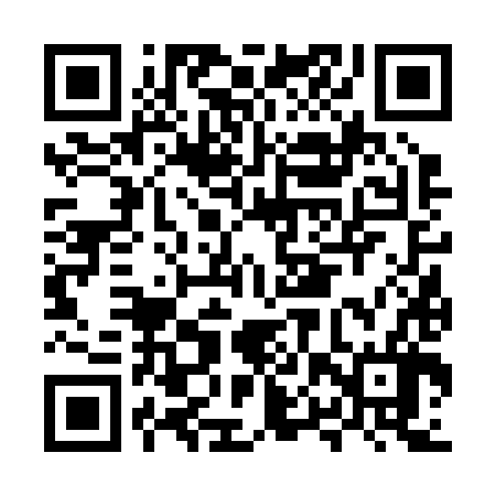 QR code for MPV286