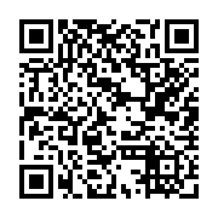QR code for MSG379