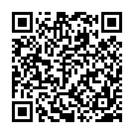 QR code for MSV416
