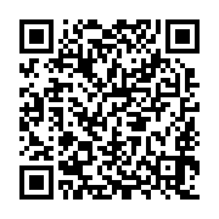QR code for MXN293