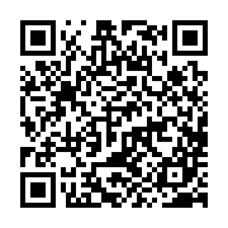 QR code for MYP387