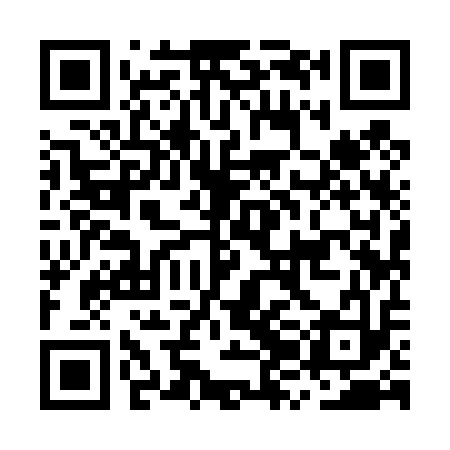QR code for MZI413