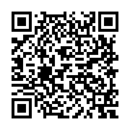 QR code for MZI991