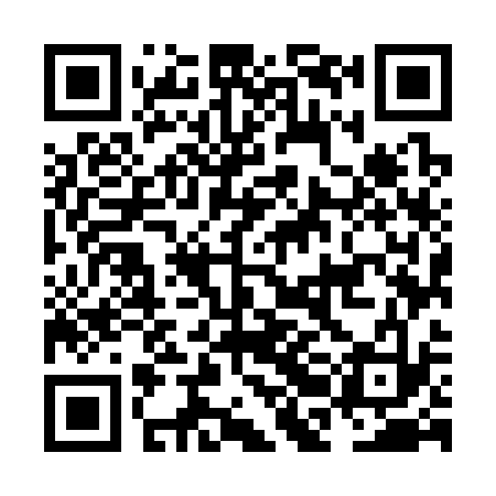 QR code for NBM333