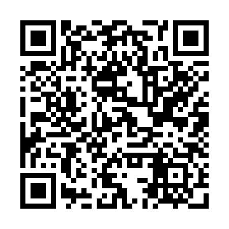 QR code for NCS383