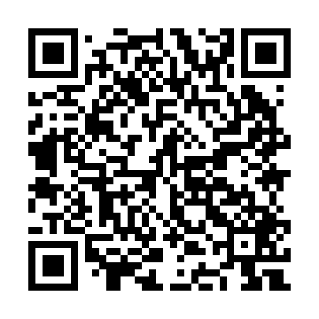 QR code for NDI249