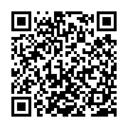 QR code for NEI641