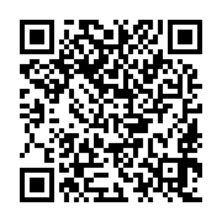 QR code for NEO993