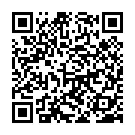 QR code for NES079