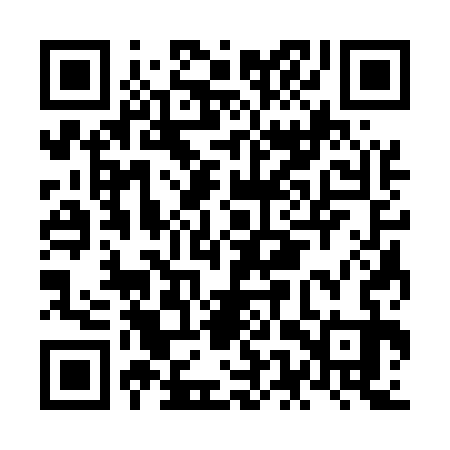QR code for NES533