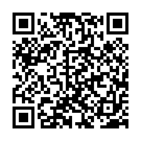 QR code for NFT013