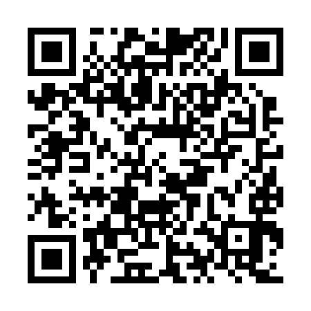 QR code for NIF293