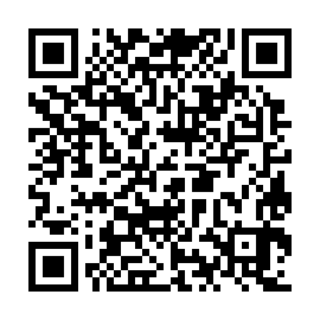 QR code for NIG383
