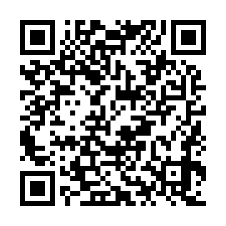 QR code for NIN979