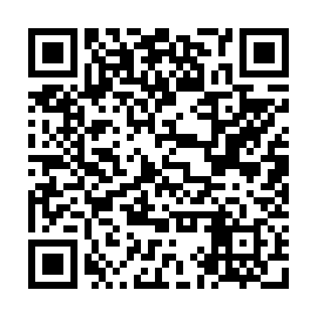 QR code for NIQ638