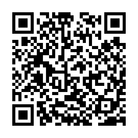 QR code for NIQ699