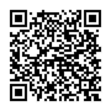 QR code for NIZ551