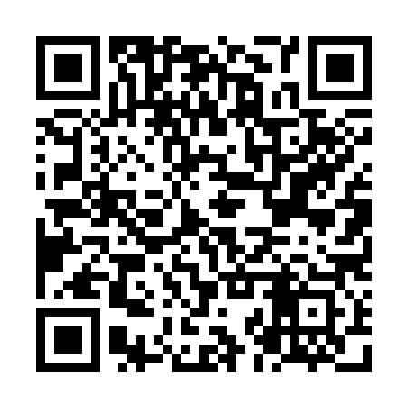 QR code for NJT383
