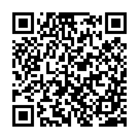 QR code for NNS447