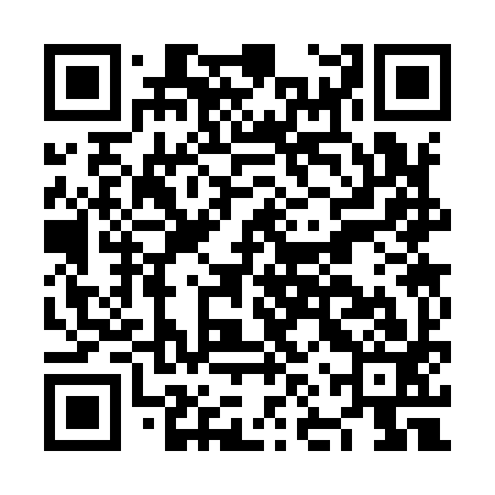 QR code for NNS993