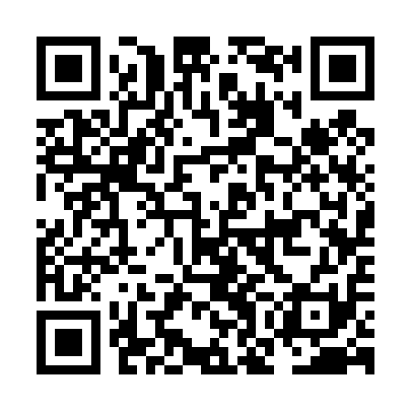 QR code for NOC411