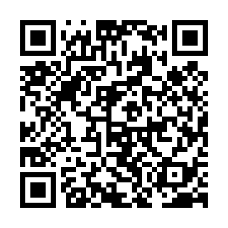 QR code for NOE439