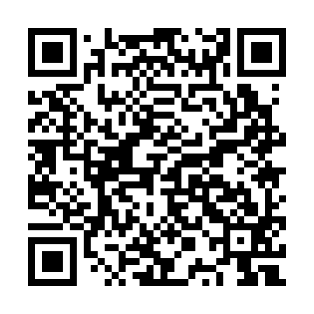 QR code for NPA393