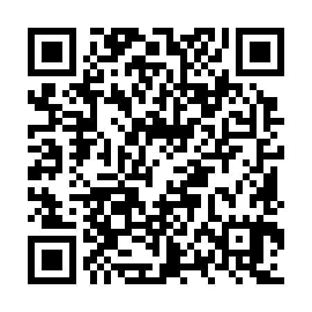 QR code for NPM385