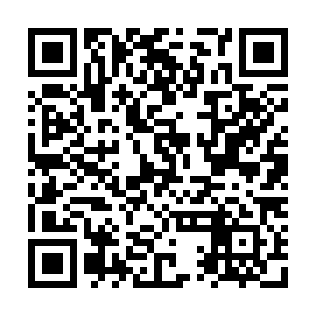 QR code for NQF381