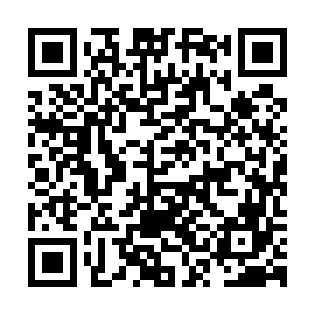 QR code for NSI566