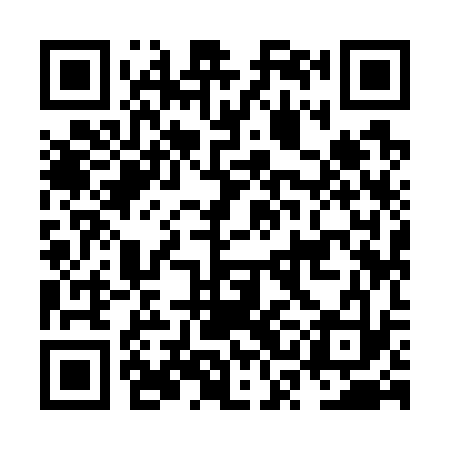 QR code for NSI733