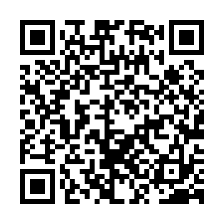 QR code for NSL133
