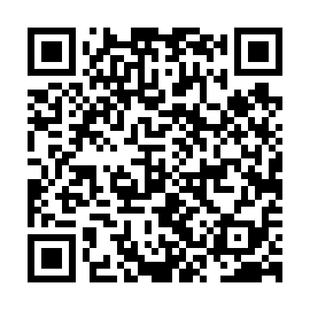 QR code for NST619