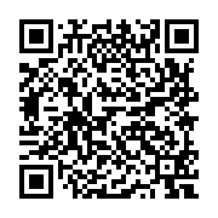 QR code for NVI991